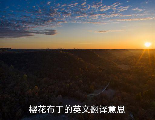 櫻花布丁的英文翻譯意思