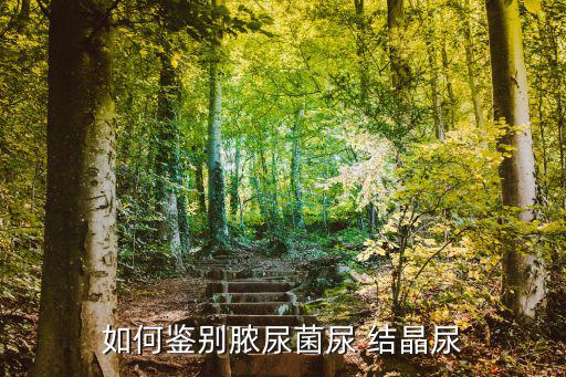 如何鑒別膿尿菌尿 結晶尿