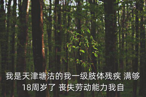 我是天津塘沽的我一級肢體殘疾 滿夠18周歲了 喪失勞動能力我自