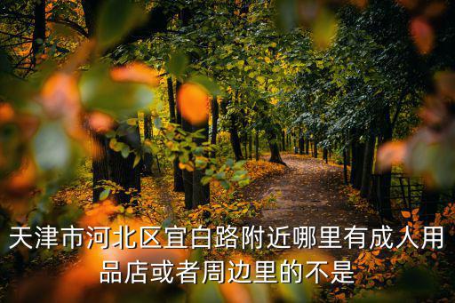 天津市河北區宜白路附近哪里有成人用品店或者周邊里的不是
