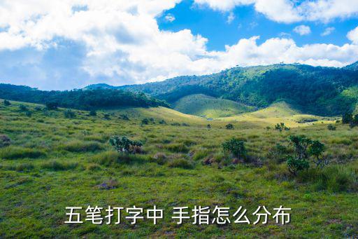 鍵盤手指分布圖,這是鍵盤指法圖!從左到右依次進行點擊和按壓