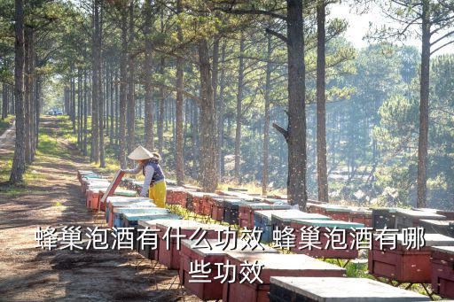 蜂巢的功效與作用,蜂巢酒不能在冰箱存放太久