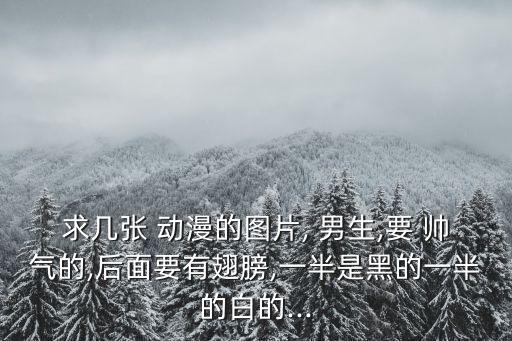 求幾張 動漫的圖片, 男生,要 帥氣的,后面要有翅膀,一半是黑的一半的白的...