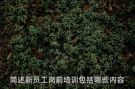 簡(jiǎn)述新員工崗前培訓(xùn)包括哪些內(nèi)容