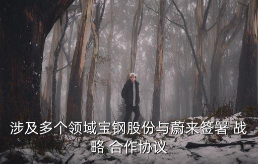 涉及多個領(lǐng)域?qū)氫摴煞菖c蔚來簽署 戰(zhàn)略 合作協(xié)議