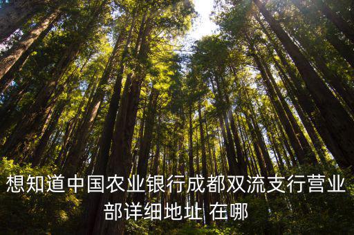 成都市雙流區(qū)東升街道芳草巷33號(hào)，想知道中國(guó)農(nóng)業(yè)銀行成都雙流支行營(yíng)業(yè)部詳細(xì)地址 在哪