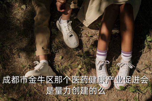成都市金牛區那個醫藥健康產業促進會是量力創建的么