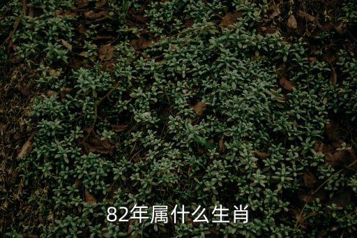 82年屬什么生肖