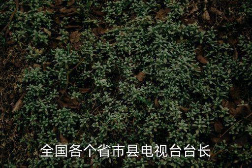 全國(guó)各個(gè)省市縣電視臺(tái)臺(tái)長(zhǎng)