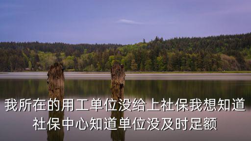 我所在的用工單位沒給上社保我想知道社保中心知道單位沒及時足額