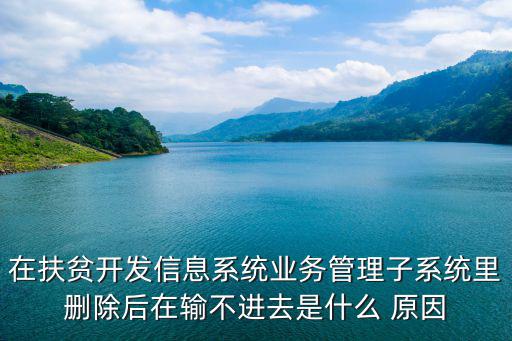 在扶貧開發信息系統業務管理子系統里刪除后在輸不進去是什么 原因