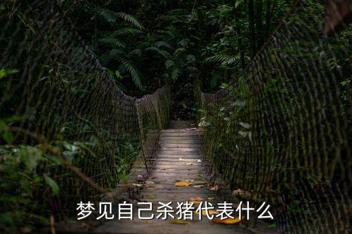 夢見自己殺豬代表什么