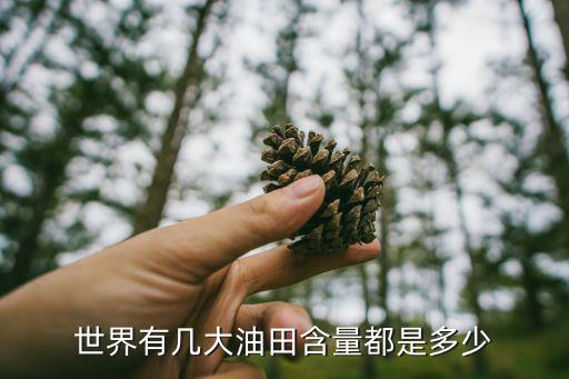 魯邁拉油田，伊拉克最大油田