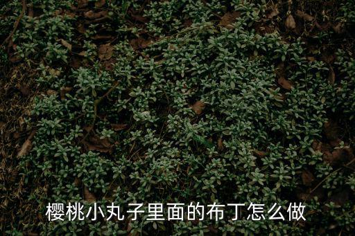櫻桃小丸子里面的布丁怎么做