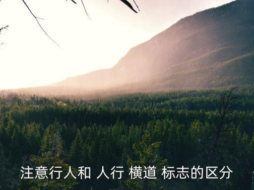 人行橫道標(biāo)志圖片,這些行人橫道標(biāo)志如何設(shè)置?
