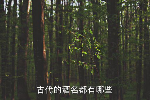 木酒海,四件古董酒瓶藏寶庫出土文物證實屬真酒