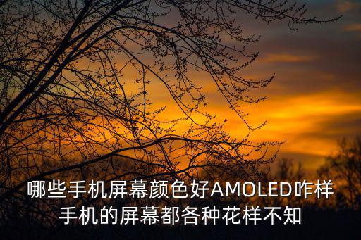 哪些手機(jī)屏幕顏色好AMOLED咋樣手機(jī)的屏幕都各種花樣不知