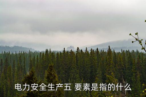 電力安全生產五 要素是指的什么