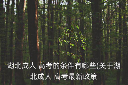 湖北省高考,湖北教育考試院:考生須登錄指定報名平臺報名