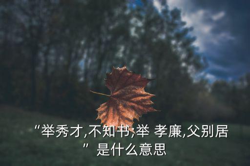 “舉秀才,不知書;舉 孝廉,父別居”是什么意思