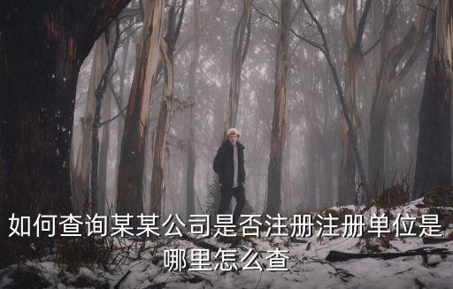 如何查詢某某公司是否注冊注冊單位是哪里怎么查