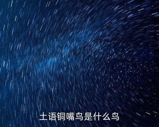 土語銅嘴鳥是什么鳥