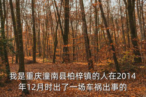 我是重慶潼南縣柏梓鎮(zhèn)的人在2014年12月時出了一場車禍出事的