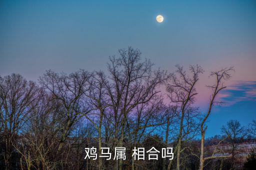  雞馬屬 相合嗎