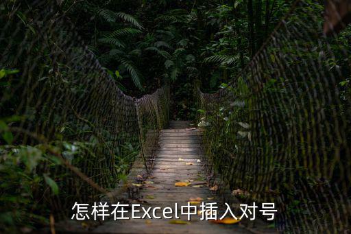 怎樣在Excel中插入對號