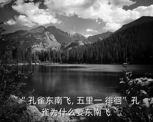 孔雀東南飛五里一徘徊,為何只飛向東南而不飛其他地方?