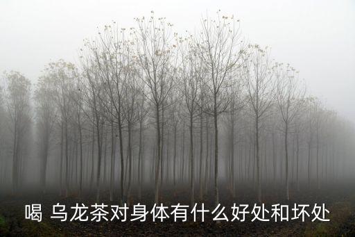 喝烏龍茶的好處,喝酒烏龍茶好處多一點有利有弊
