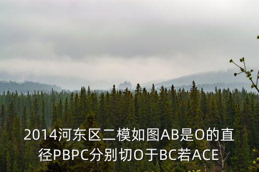 2014河?xùn)|區(qū)二模如圖AB是O的直徑PBPC分別切O于BC若ACE