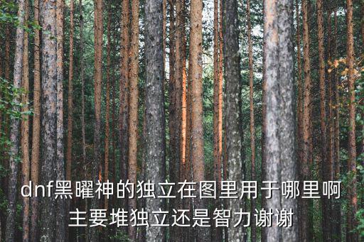 dnf黑曜神的獨(dú)立在圖里用于哪里啊主要堆獨(dú)立還是智力謝謝