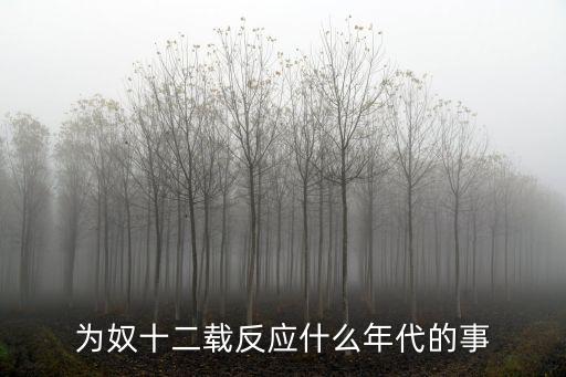 為奴十二載反應什么年代的事