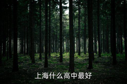 上海什么高中最好