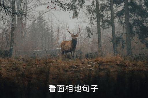 看面相，男生女相 面相如何解釋