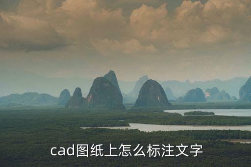  cad圖紙上怎么標注文字