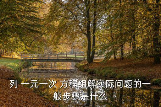 一元一次方程組,這些方程組的解釋
