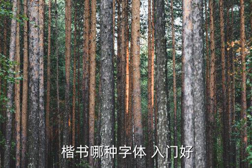 歐陽詢楷書入門,唐人楷書第一歐陽詢的書、碑被稱為緊危嚴(yán)謹(jǐn)