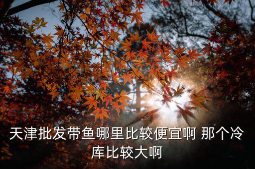 天津市里哪個冷庫最大，天津比較大的冷庫在什么位置