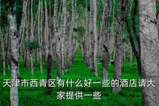 天津市西青區賽達路錦悅酒店，天津市商業文化進修學院附近的住宿推薦