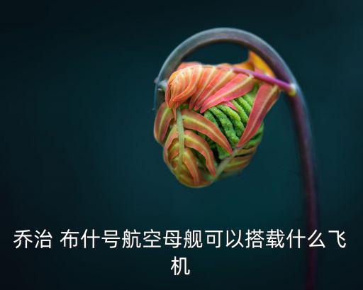 布什號(hào),美國(guó)海軍配備64架飛機(jī)包括20架黑箱戰(zhàn)機(jī)