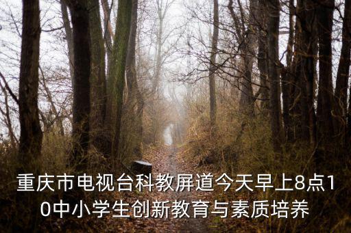 重慶市電視臺(tái)科教屏道今天早上8點(diǎn)10中小學(xué)生創(chuàng)新教育與素質(zhì)培養(yǎng)