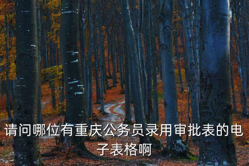 請問哪位有重慶公務員錄用審批表的電子表格啊