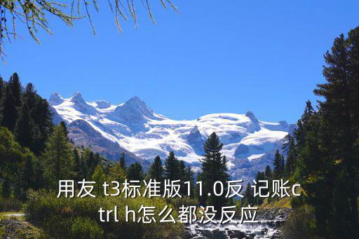 t3反記賬,恢復記賬以前狀態需要點擊哪些按鈕?