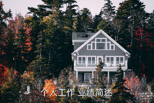 個人工作 業(yè)績簡述