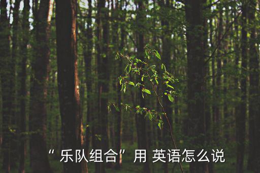 “ 樂隊組合”用 英語怎么說