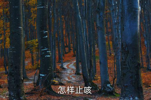 治咳川貝枇杷露,咳嗽可選用不同類型止咳藥對癥治療