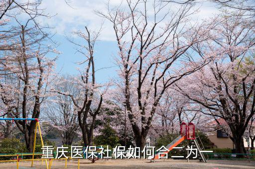 重慶醫(yī)保社保如何合二為一