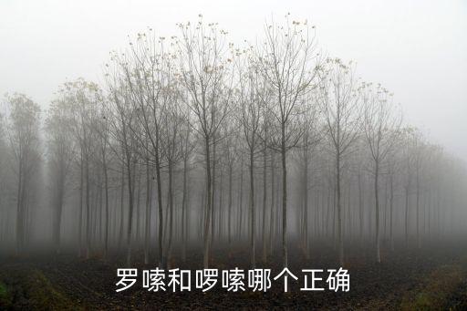 啰嗦,成語啰嗦、婆婆、嫲婆、老公、阿嫲、嫲嫲不要學!